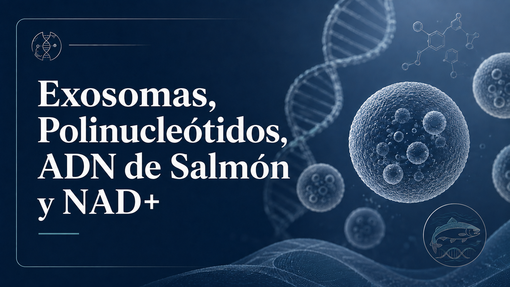 Exosomas, Polinucleótidos, ADN de Salmón y NAD+